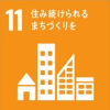 SUSTAINABLE DEVELOPMENT GOALS 11