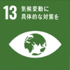 SUSTAINABLE DEVELOPMENT GOALS 13